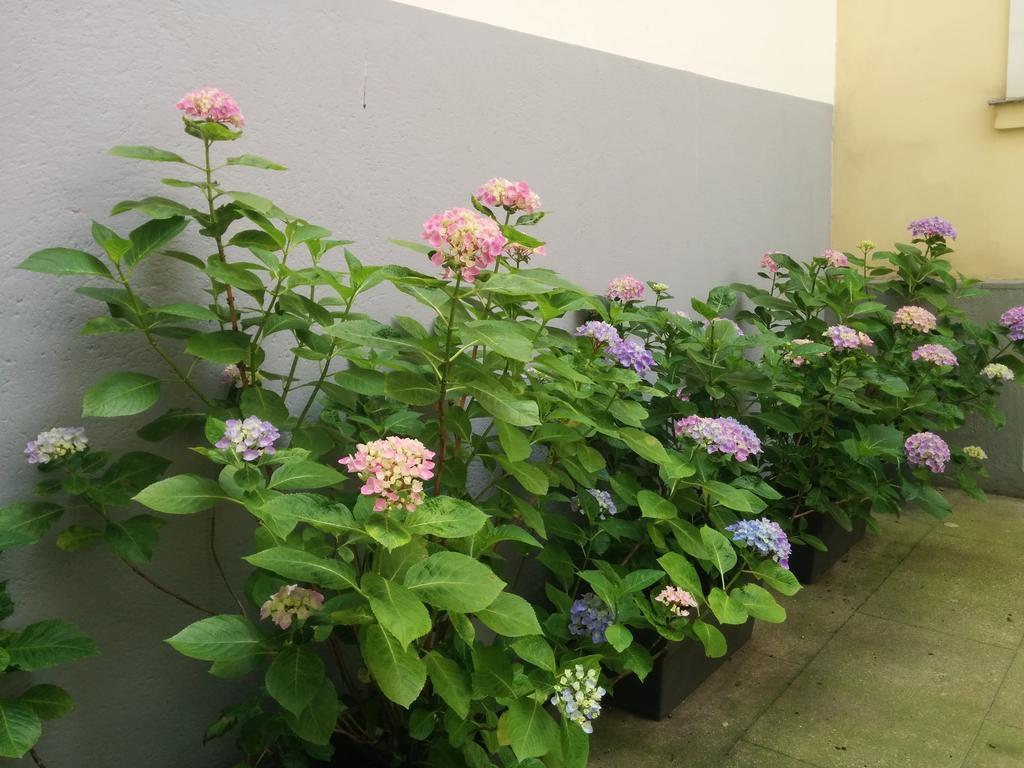 巴黎第五庭院住宿加早餐旅馆住宿加早餐旅馆 外观 照片